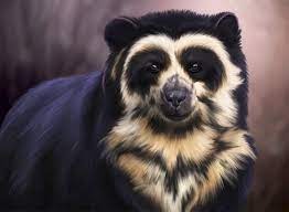 Spectacled bear: a bear species that is native to the Tropical Andes.