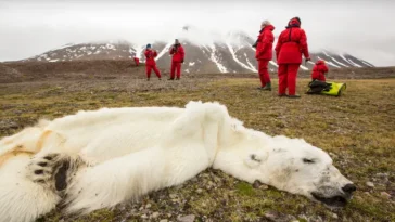 Climate Change and Its Impacts on Wildlife